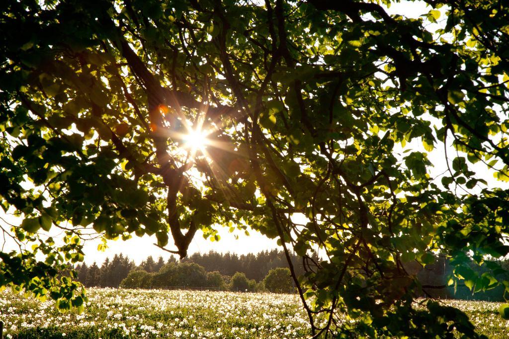 Adami Country Guesthouse Vainupea Eksteriør billede