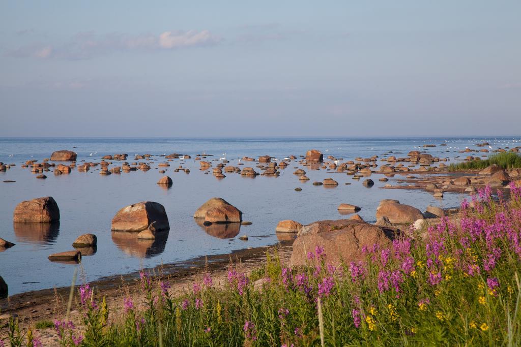 Adami Country Guesthouse Vainupea Eksteriør billede
