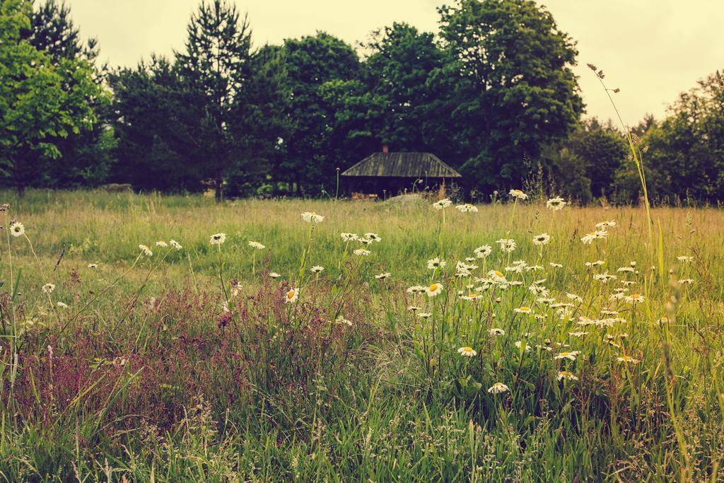 Adami Country Guesthouse Vainupea Eksteriør billede