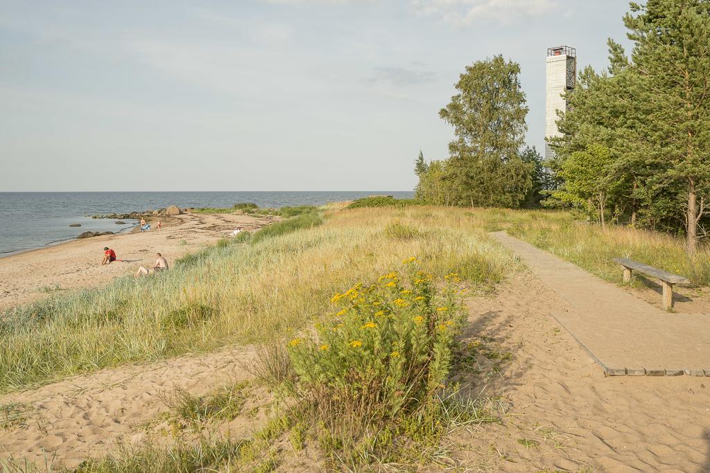 Adami Country Guesthouse Vainupea Eksteriør billede