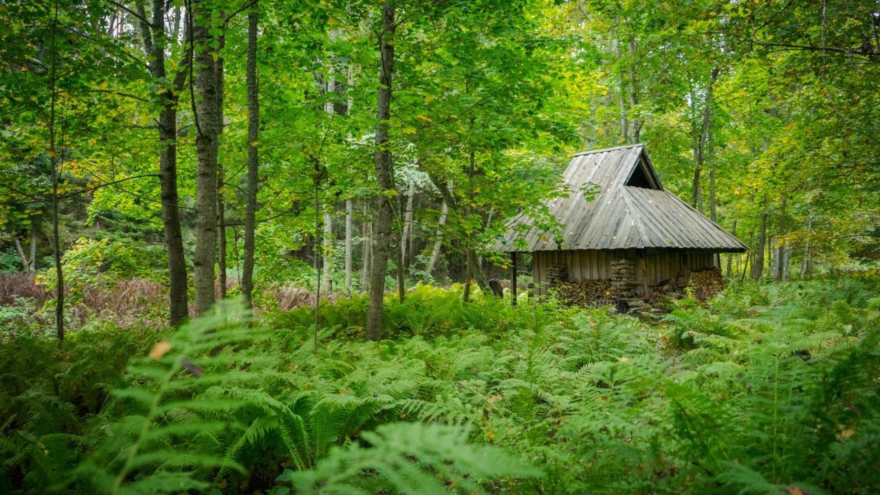 Adami Country Guesthouse Vainupea Eksteriør billede