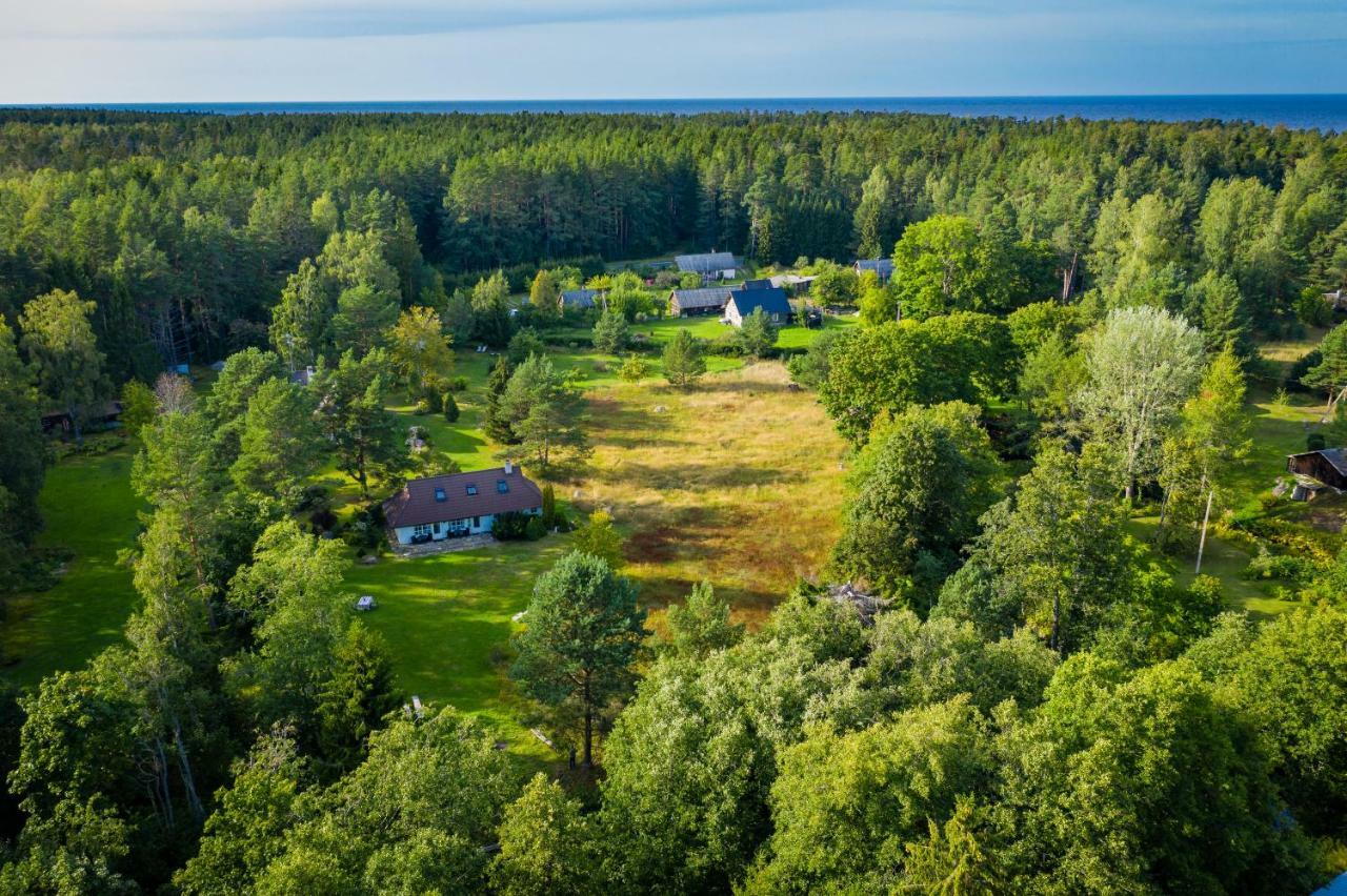 Adami Country Guesthouse Vainupea Eksteriør billede
