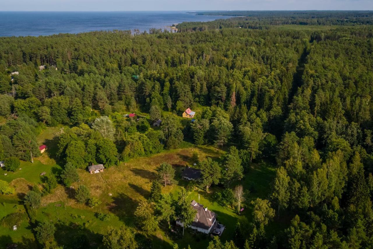 Adami Country Guesthouse Vainupea Eksteriør billede