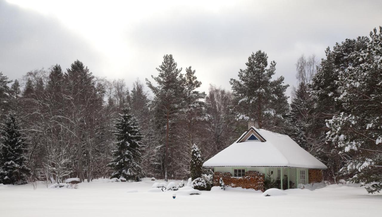 Adami Country Guesthouse Vainupea Eksteriør billede